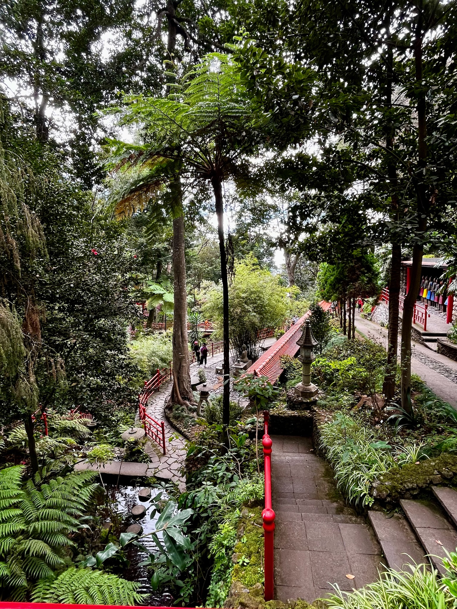 Grădina orientală din Grădina Botanică Tropicală Monte Palace