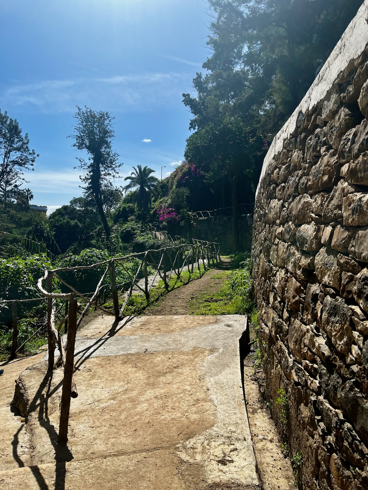 Parcul Quinta Magnólia