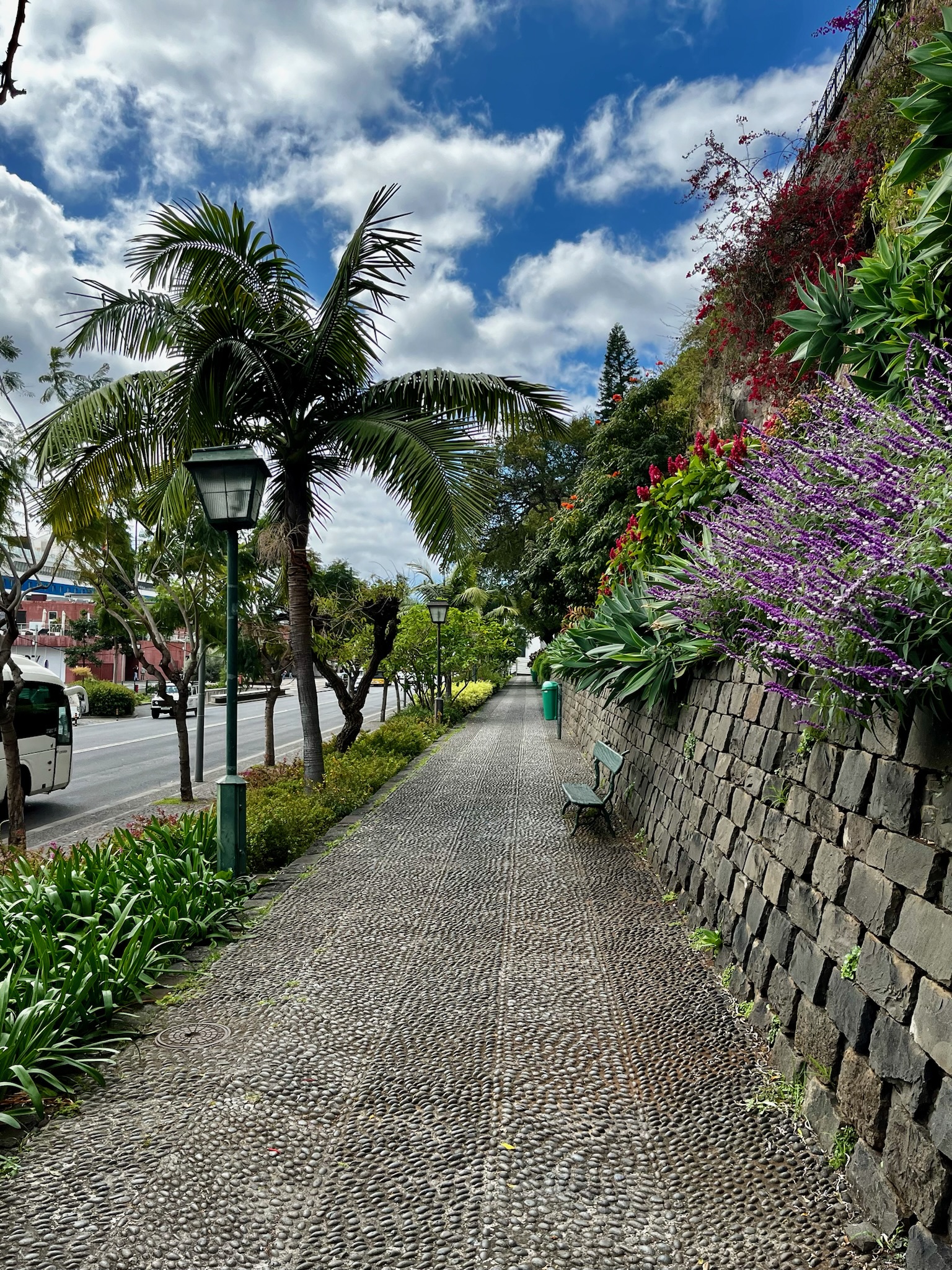 Plimbare prin Funchal