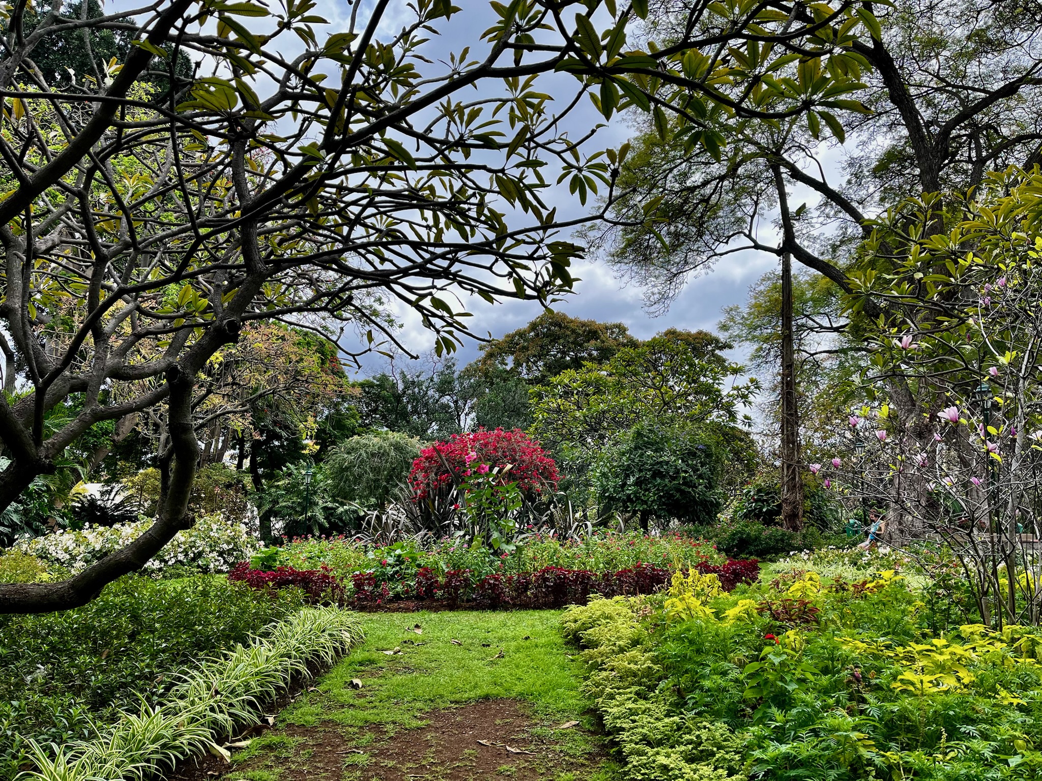 Parcul Jardim Municipal do Funchal