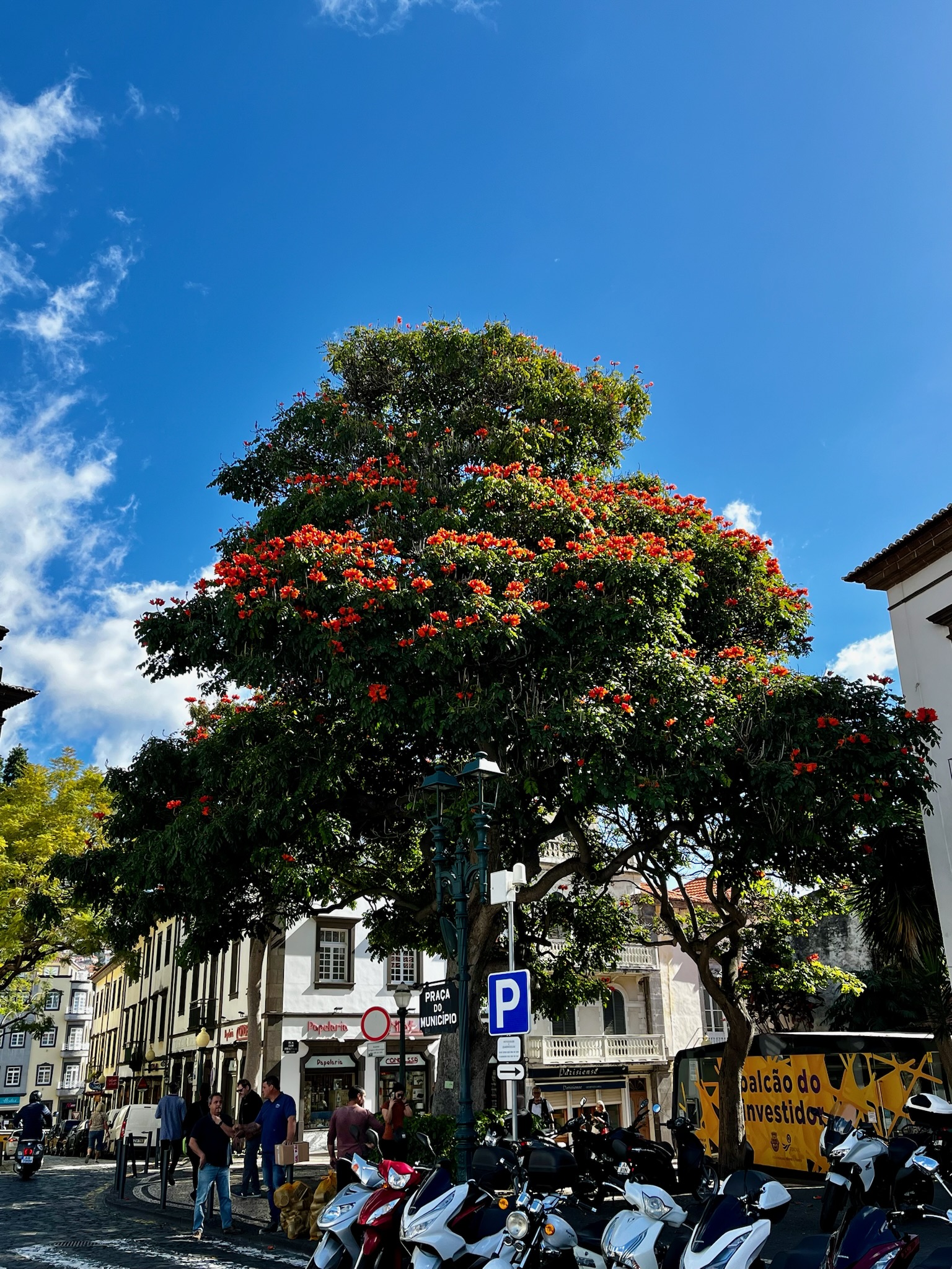 Piața centrala din Funchal