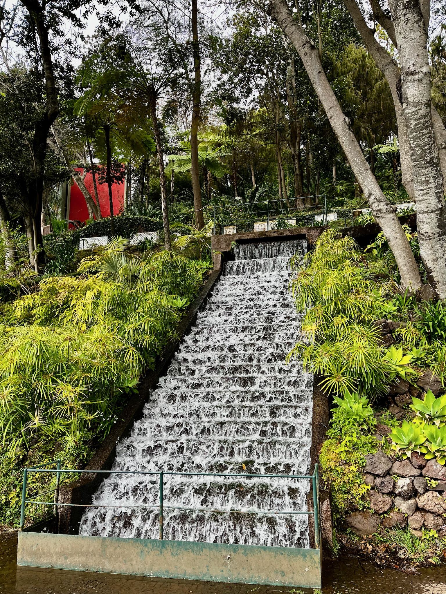 Grădina Botanică Tropicală Monte Palace