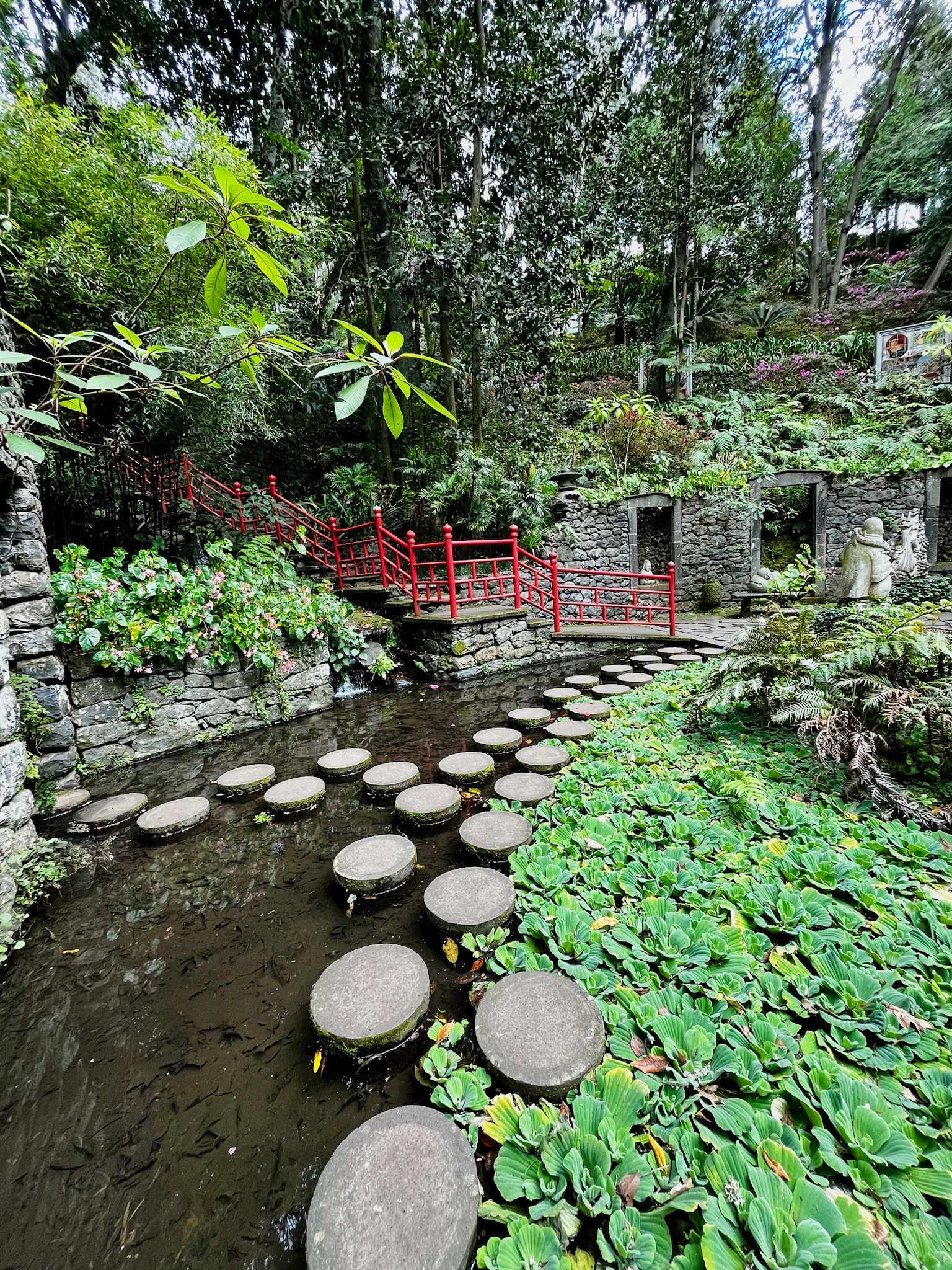 Grădina orientală din Grădina Botanică Tropicală Monte Palace